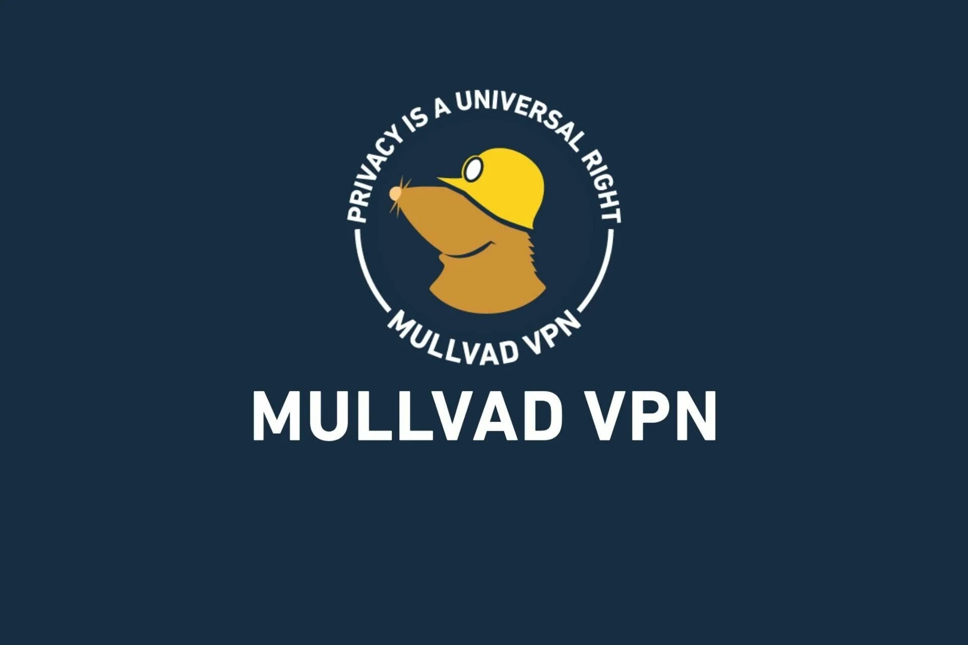 Mullvad net. Mullvad. mullvad logo. mullvad browser.