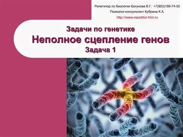 Решение по биологии 11. Богунова в г биология решение задач по генетике с решением.