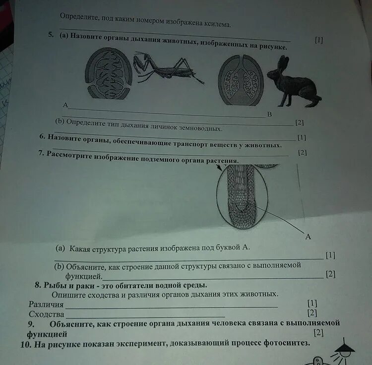 Соч по биологии 8 3 четверть. Соч биология 7 класс 2 четверть. Сор по биологии 8 класс 2 четверть. Соч по биологии 7 класс 1 четверть. Соч по биологии 9 класс 2 четверть.