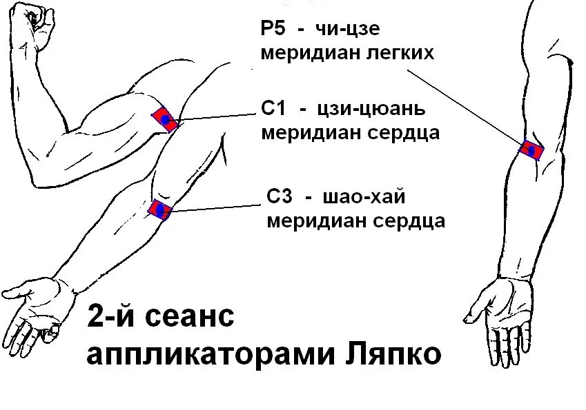 Точка ежедневно. Точка чи Цзэ расположение. Цюй Цзэ. Расположение точки чи-Цзе. Акупунктурная точка чи ЗЦЕ р5.