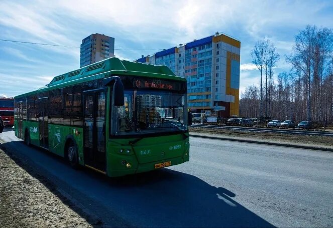 Муп сод. Челябинский автобус. Автобус фото. Автобус-гармошка. Новые автобусы.
