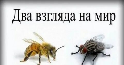 Два взгляда