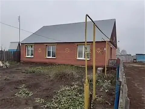 Сообщество березняки