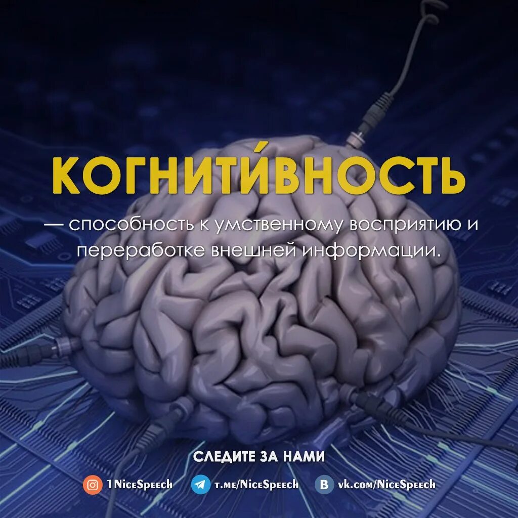 Ментальное восприятие. Когнитивность. Когнитивность что это простыми словами.