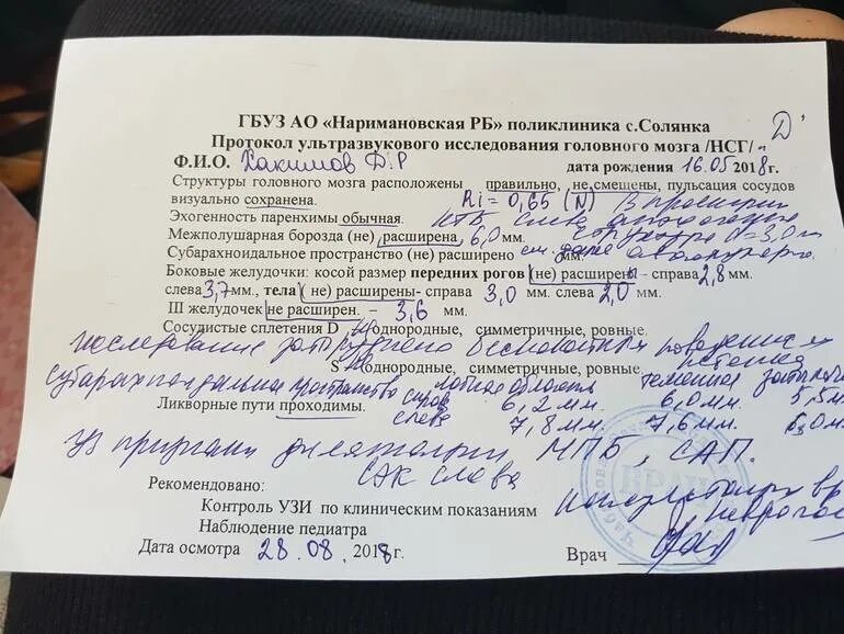 Протокол УЗИ головного мозга у новорожденного. Нейросонография протокол УЗИ. Расшифровка УЗИ головного мозга новорожденного. Направление на УЗИ головного мозга.