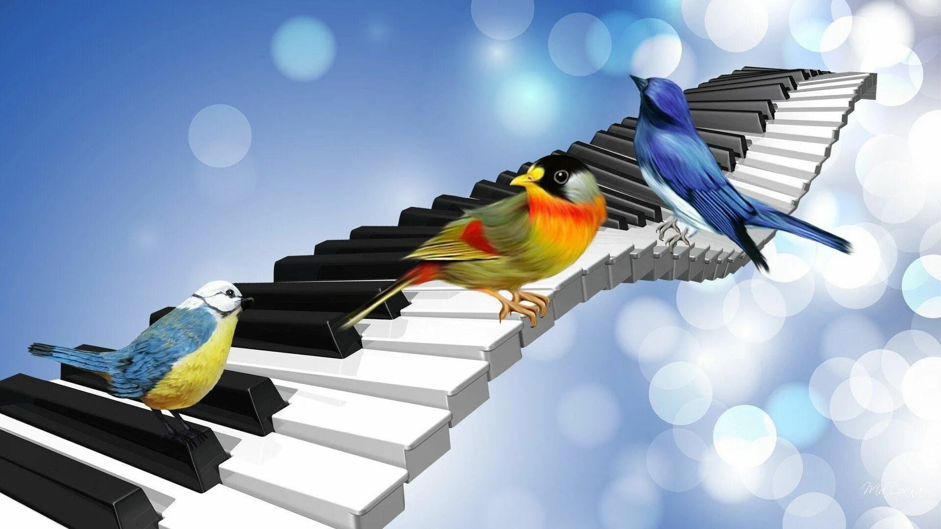 Конкурсы песен весной. Птицы поют. Природа птицы. Птицы картинки.