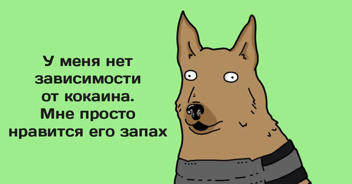 Запах суки