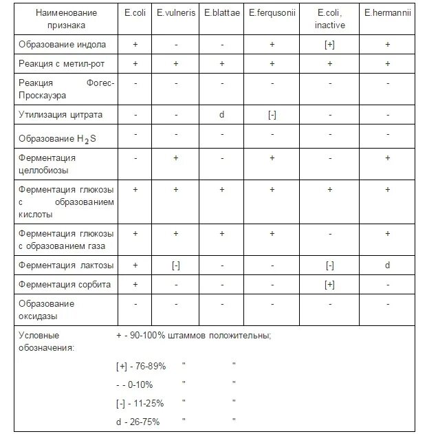 Бак посев мочи Escherichia coli 10 4. Escherichia coli норма в посеве. Escherichia coli в посеве на флору 10 7. Escherichia coli 10 5 кое мл в моче. Кишечная палочка в моче причины лечение