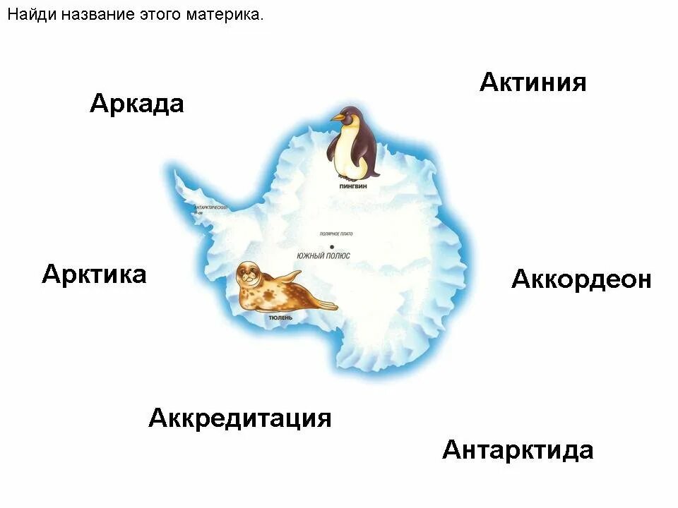 Тест материки 2 класс окружающий мир. Антарктида на карте для детей. Антарктида материк для детей. Карта Антарктиды с животными. Карта Антарктиды для детей дошкольного возраста.