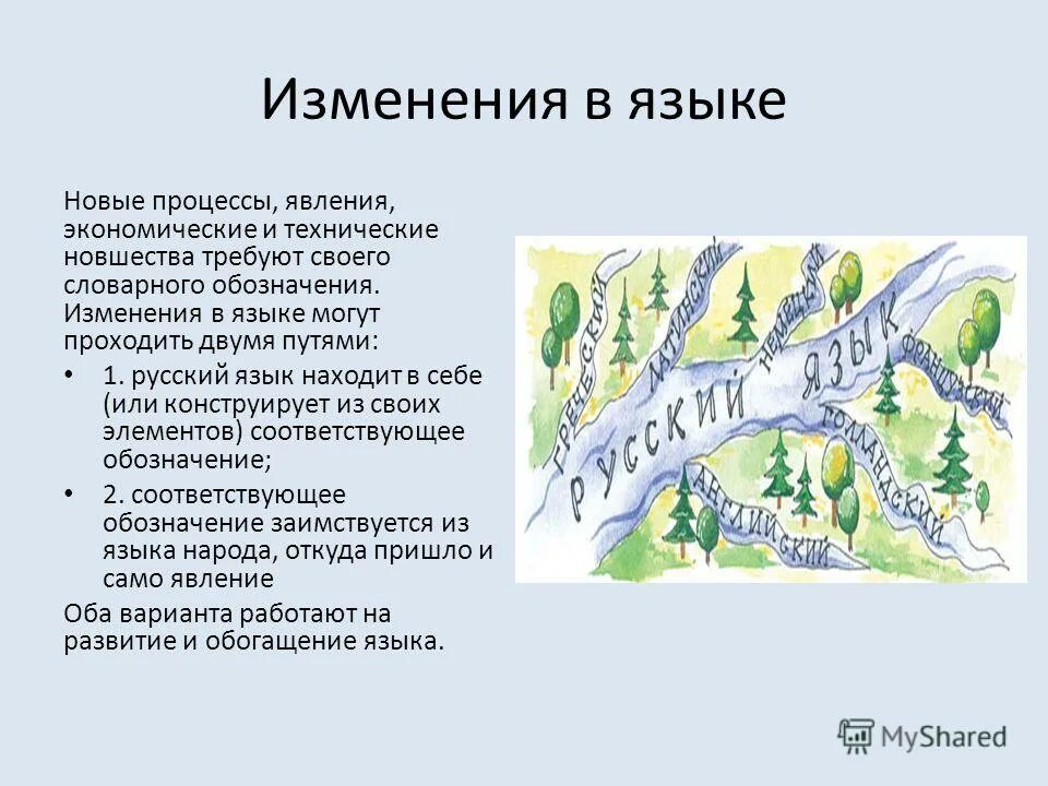 Критерии задания 28 обществознание. Исторические изменения в лексике русского языка. Проблема в исследовательской работы по русскому языку. Родной русский что за предмет. Изменения в русском языке последних лет.