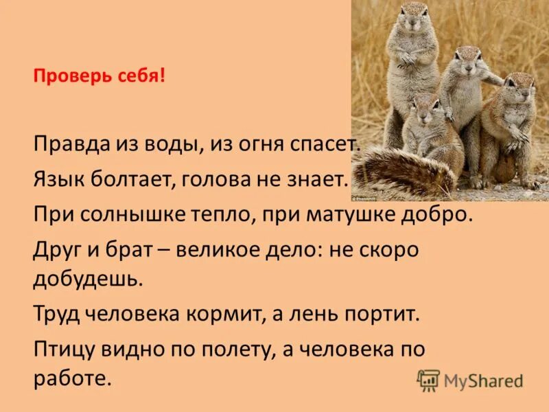 пословица не спеши языком торопись. плакат держи язык за зубами. пословицы на тему учеба. пословица слово пуще стрелы разит. без языка и колокол нем.