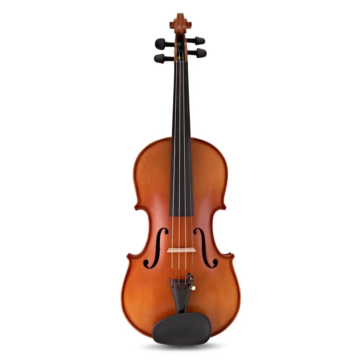 Violin скрипка. Скрипка. Скрипка на белом фоне. Скрипка для детей. Скрепоска на белом фоне.