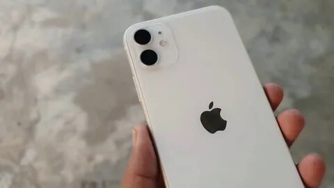 White 11
