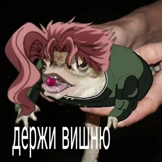 Держи жабу