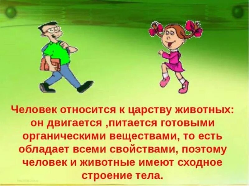 Почему человек относится к классу. К какому царству относится человек. Почему человек относится к царству животных. Человек принадлежит к животному царству. Почему человек принадлежит к царству животных.