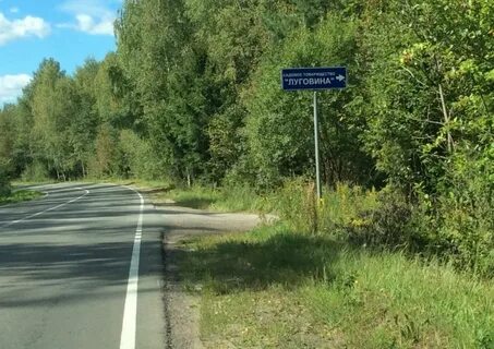 Луговина