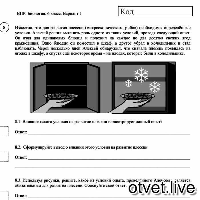 Влияние какого условия на развитие плесени иллюстрирует. Влияние условий на развитие плесени. Известно что для развития плесени необходимы определенные условия. Какое условие является обязательным для развития плесени. Влияние какого условия на развитие плесени иллюстрирует данный опыт.