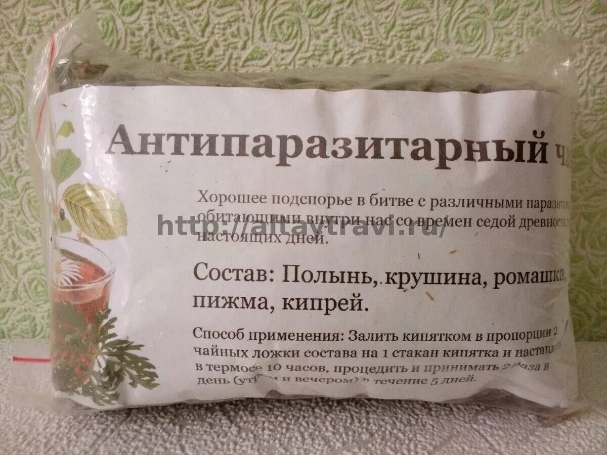 Травы от паразитов в организме
