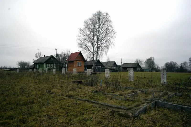 Станишино Старицкий район деревня. Бойково (Старицкий район). Поселок Заповедный Тверская область. Деревня Бойково Тверская область. Стоимость сотки земли в московской области