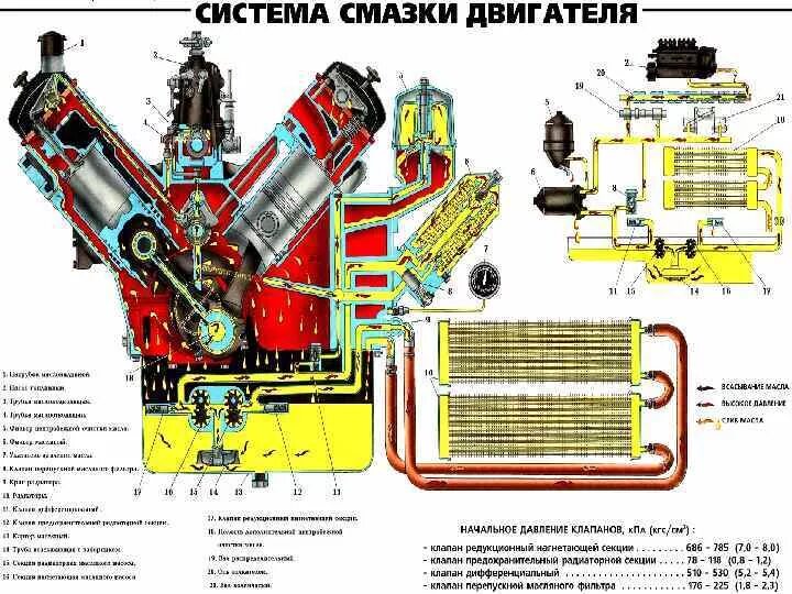 Ямз 236 какое масло. Масляная система ДВС ЯМЗ 236. Масляная система двигателя ЯМЗ 238. Система смазки двигателя ЯМЗ 236 схема. Система смазки ДВС ЯМЗ 238 схема.