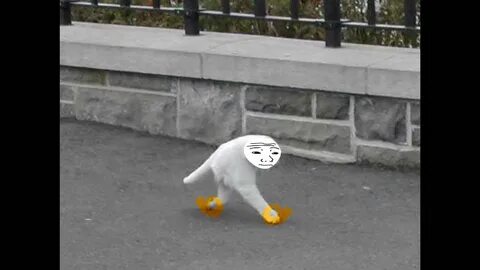 Это явно не про меня