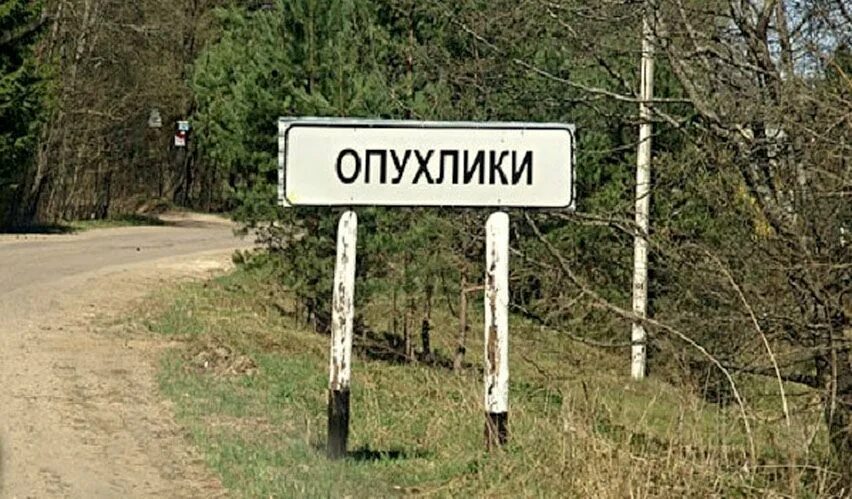 Опухлики псковская область на карте. Братское захоронение опухлики. Деревня опухлики псковская. Псковская область деревня опухлики. Псков - опухлики.
