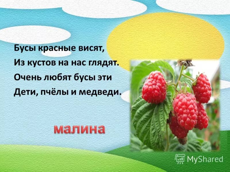 Загадки про растения. Стихи про растения. Загадки на тему растения. Загадки про растения короткие. Ответ на загадку красненькая