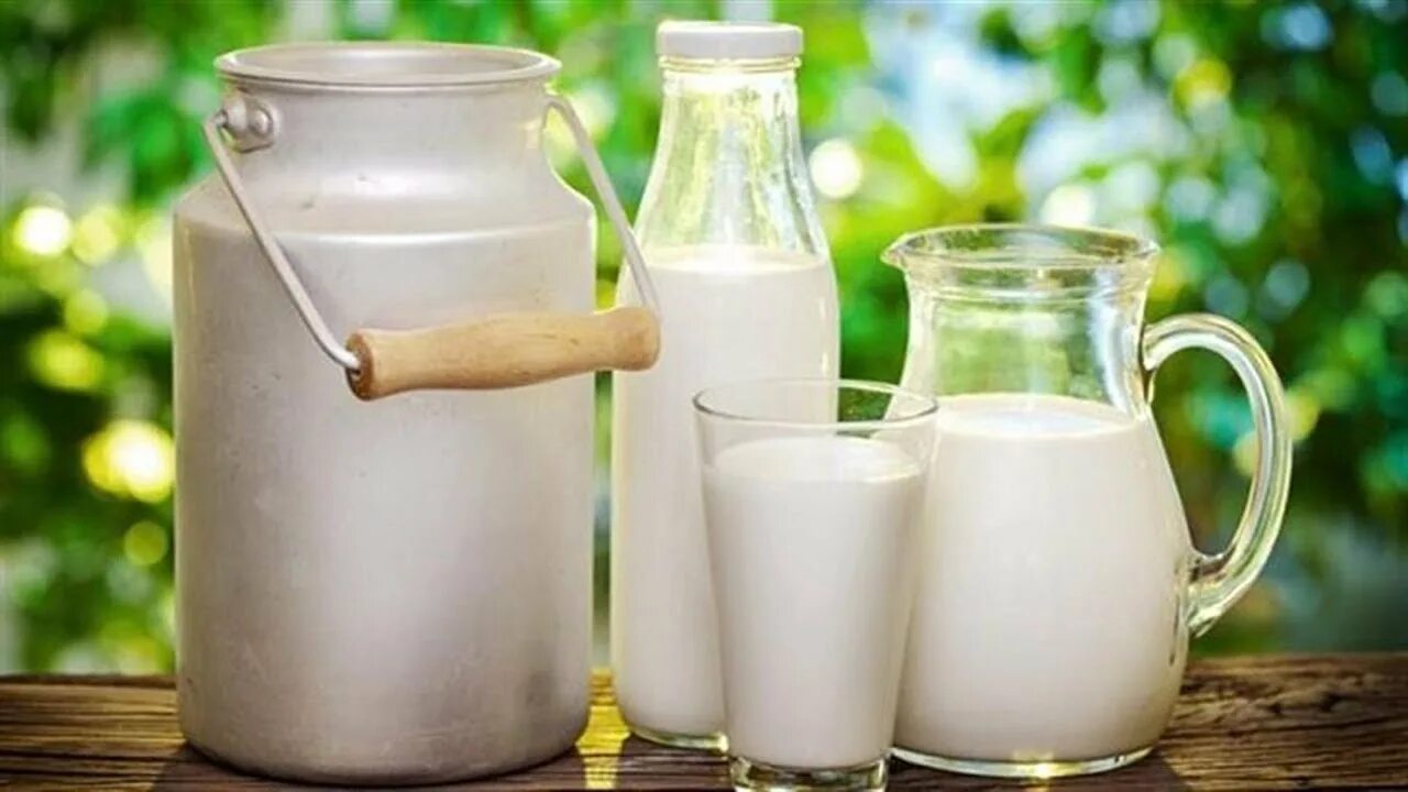 Малако девушка