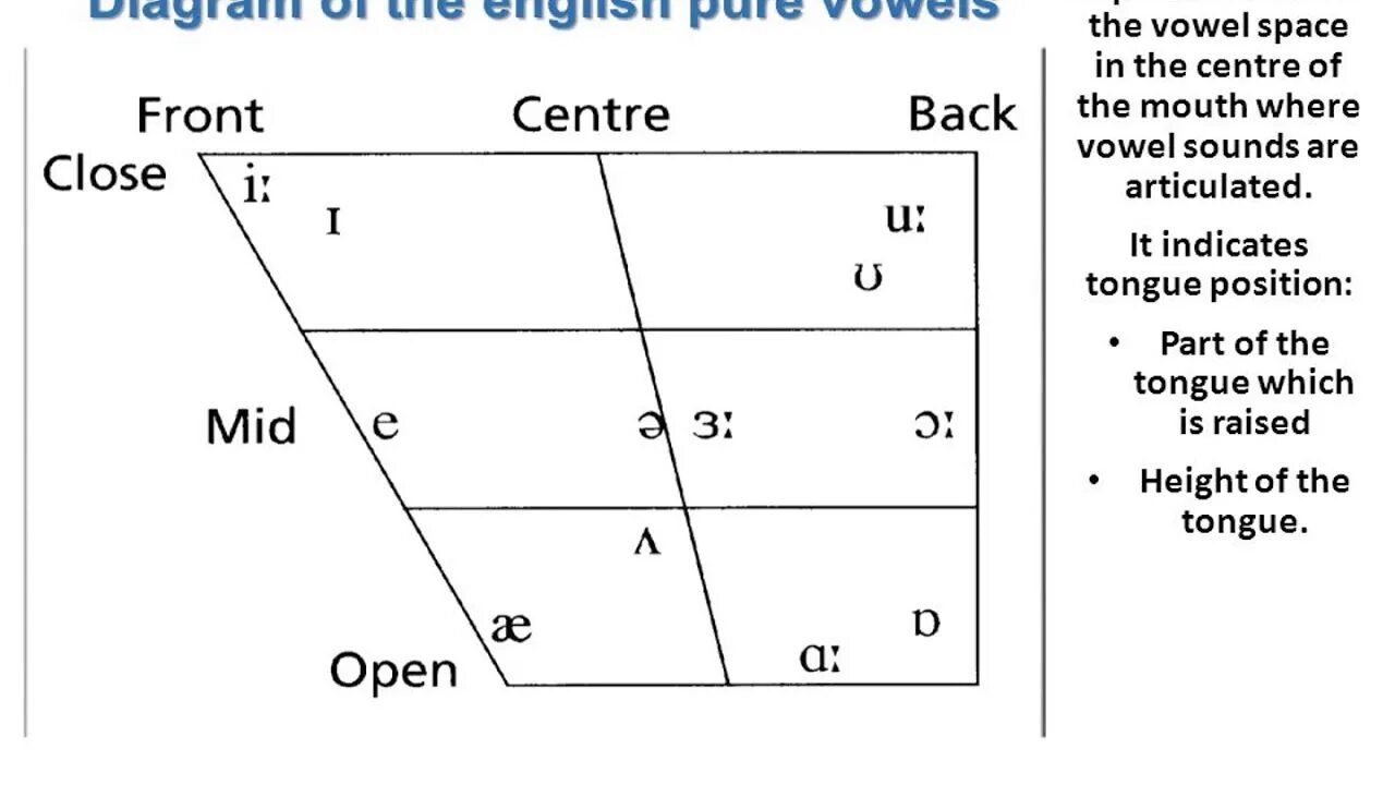 The system английский. The System of English Vowels таблица. Classification of English Vowels таблица. English Vowel Sounds classification. Classification of English Vowels according to the tongue position..