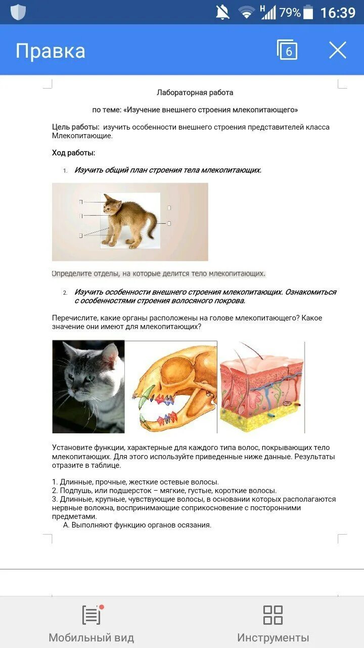 Контрольная работа по биологии 8 млекопитающие. Лабораторная работа по биологии внешнее строение млекопитающих. Лабораторная работа внешнее строение млекопитающих с ответами. Лабораторная работа по биологии 7 внешнее строение млекопитающих. Лабораторная работа изучение внешнего строения млекопитающих.