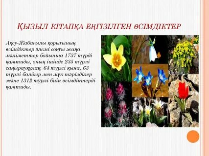 Жігіт жігіттің есегінен ішеді (видео)