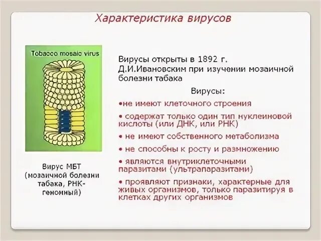 Признаки вирусов биология 5 класс. Общая характеристика вирусов. Вирусы основные характеристики. Царство вирусы общая характеристика. Вир характеристики.