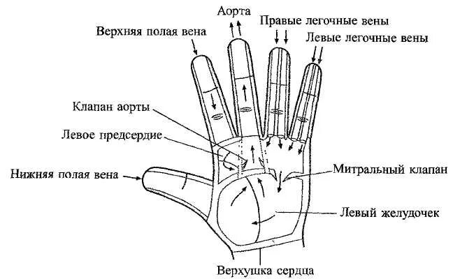 Система правая рука