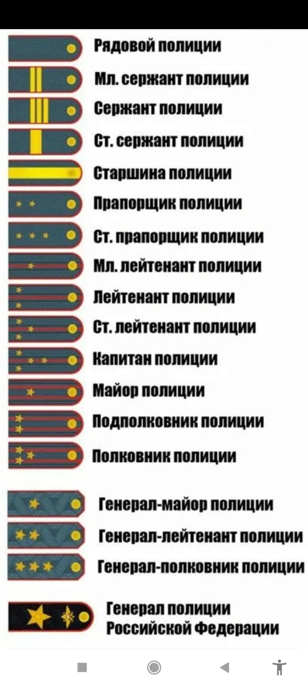 Как определить звания. Полиция звания по порядку и погоны в России. МВД звания по порядку и погоны в России. Погоны и звания в полиции России по возрастанию. Погоны и звания полиции МВД России.