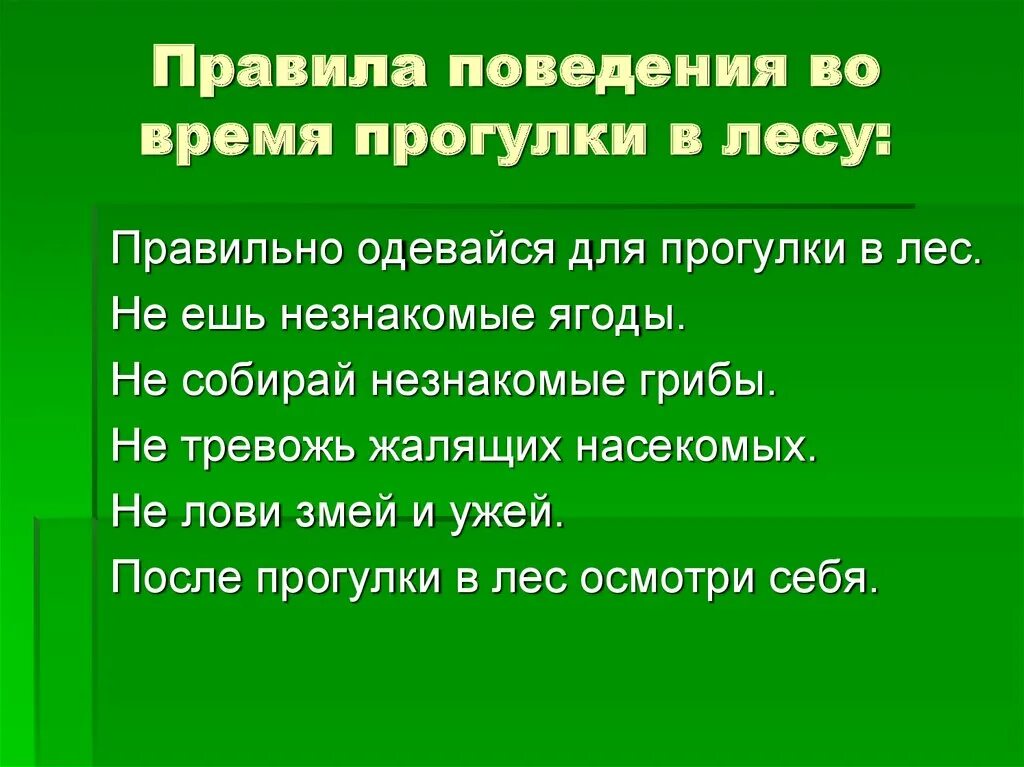 Правила поведения прогулки в лесу. Проект лесные опасности. правила поведения в дему. лесные опасности 2 класс окружающий мир. проект лесные опасности 2 класс.