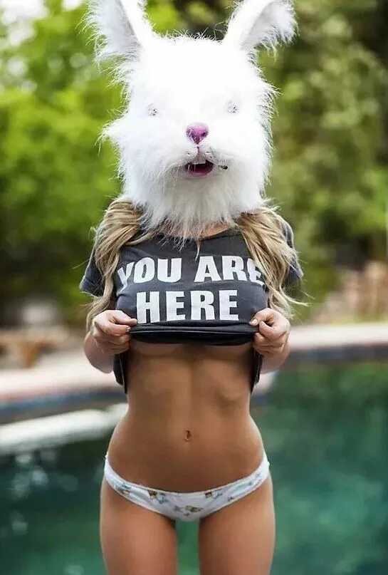 Блондинка с собачкой. Смешные девушки. Гламурная блондинка. Украинская весёлая девушка. Забавные девушки.