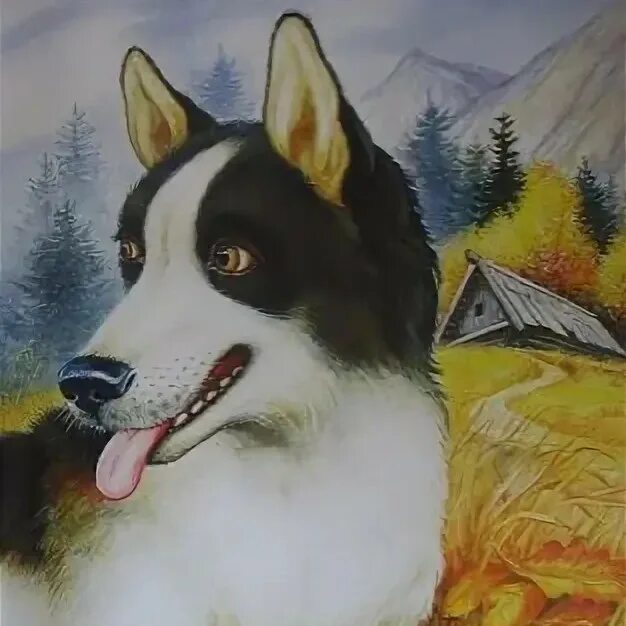 Лайка выскочка. Вьюшка собака выскочка. Пришвин вьюшка и выскочка. Вьюшка пришвин. Иллюстрации к рассказу пришвина выскочка.