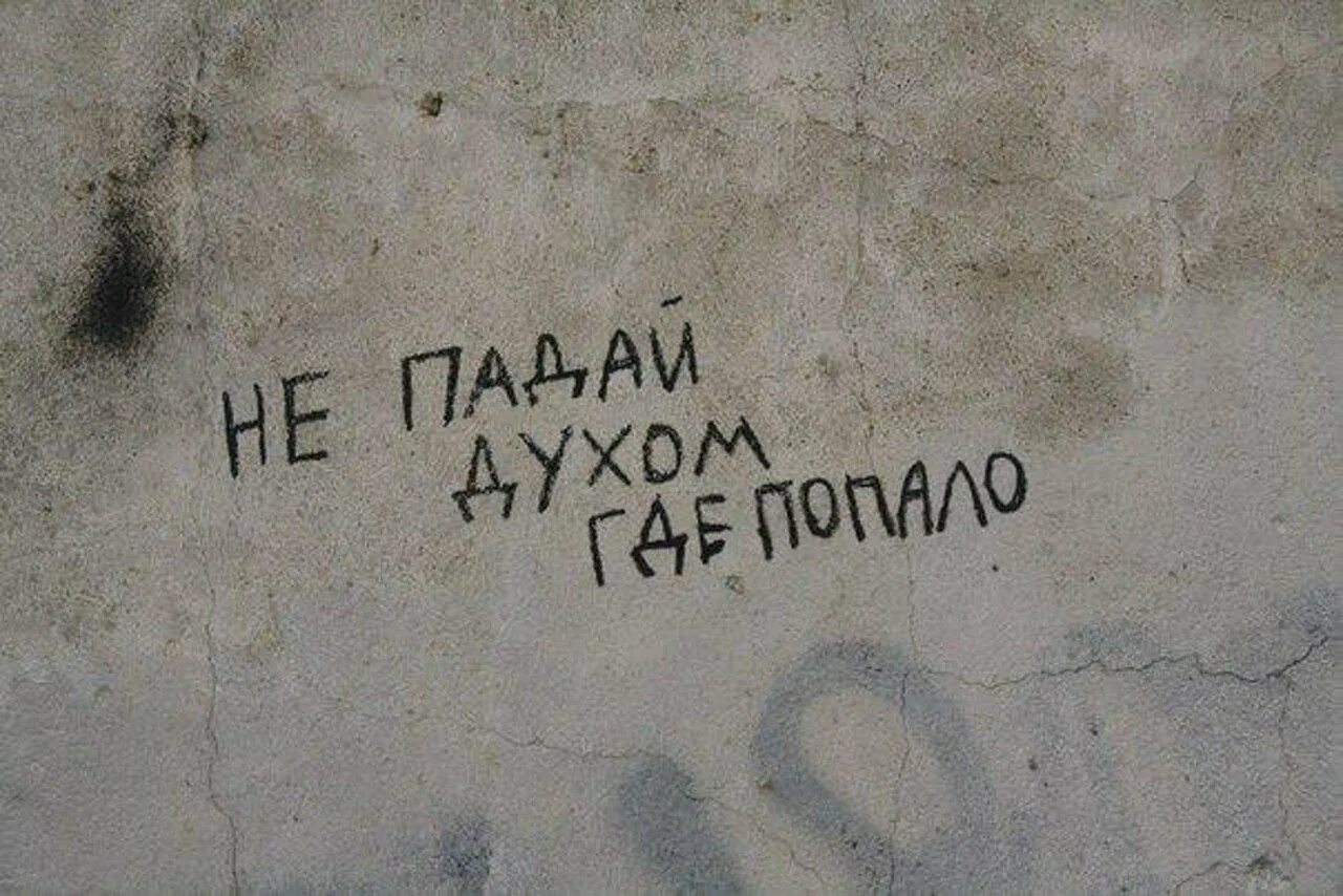 Цитаты про улицу. Надписи на стенах. цитаты на стенах. смешные фразы на стенах. философские надписи на стенах.