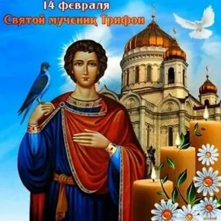 С днем святого трифона картинки