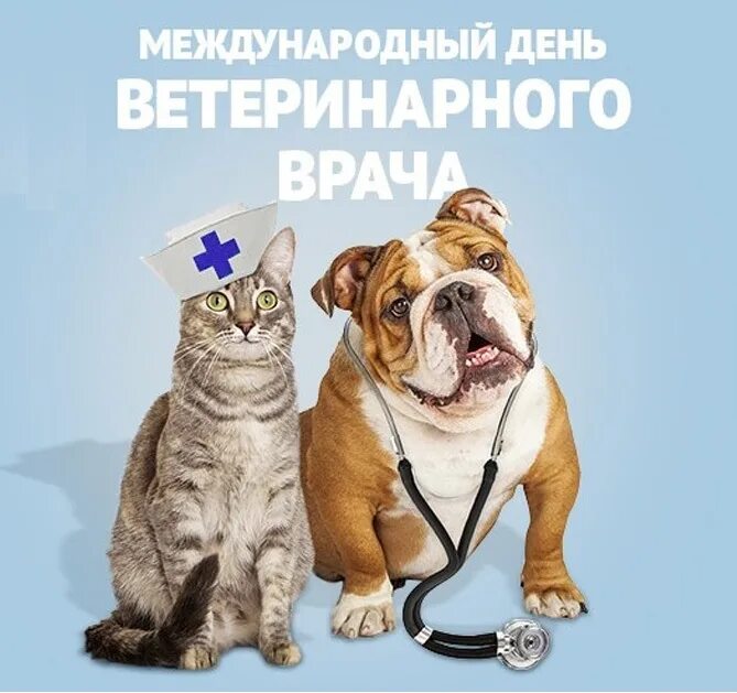 Поздравление с днем ветеринара. С днем ветеринарного врача. С днем ветеринара. С праздником ветеринара. С праздником ветеринара.