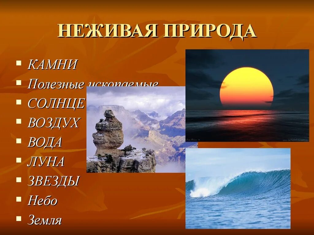 Неживая природа. Неживая природа картинки. Мир неживой природы. Неживая природа примеры.