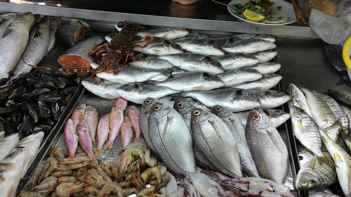 Купить рыбу в саратове. Прилавок с рыбой на рынке. Рыба продается на рынке. Морская рыба в Турции. Морская рыба на прилавке.