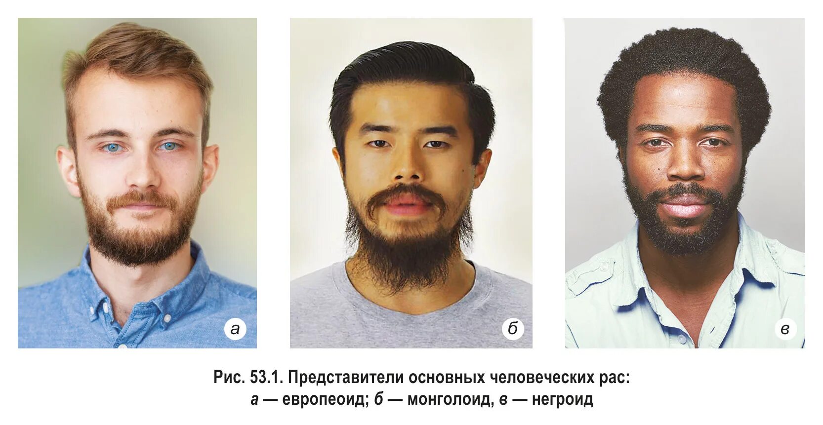 Как выглядят расы людей JoyReactor смешные картинки и другие приколы: комиксы, гиф анимация, видео, лу