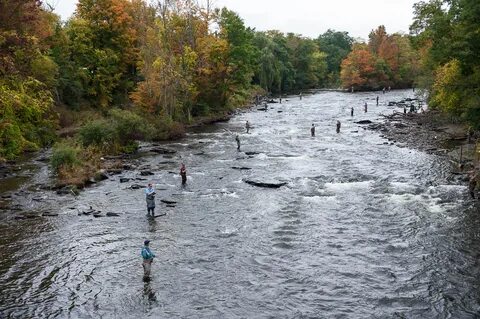 Река где водится