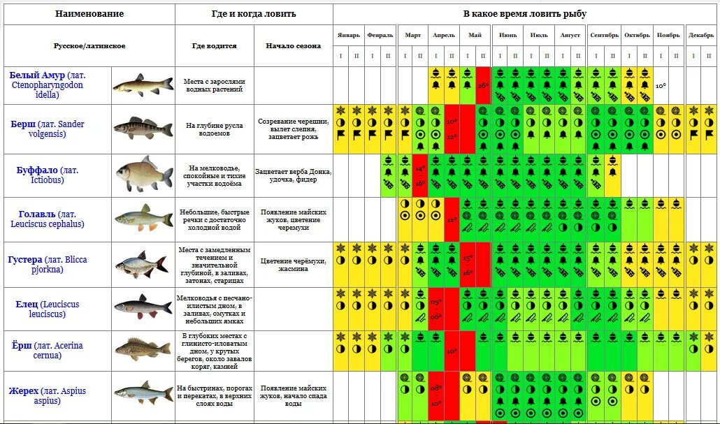 Какую рыбу сейчас можно ловить. Когда какая рыба клюет таблица. Таблица клева карася. Таблица клева окуня. Таблица клева рыбы по месяцам.
