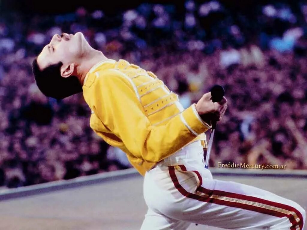 Фредди стадион уэмбли. Фредди Меркьюри Wembley 1986. Queen Уэмбли 1986. Фредди Меркьюри на стадионе. Queen Фредди Меркьюри.