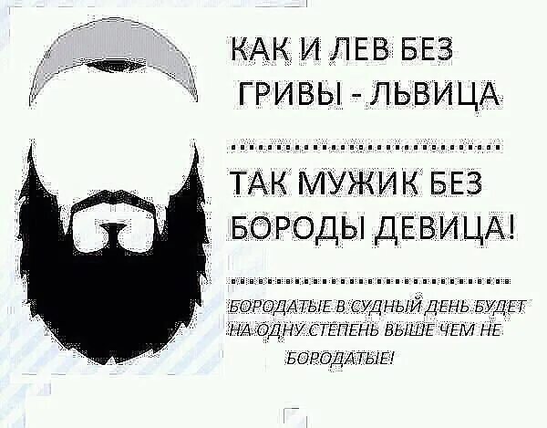 Уберал. Цитаты про бороду. Борода в Исламе. Цитата мусульманский с бородой. Высказывания о бороде.
