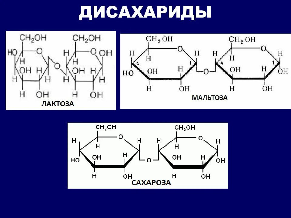 Лактоза дисахарид. Циклическая форма мальтозы. Дисахариды строение молекул. Сахароза мальтоза лактоза формулы.