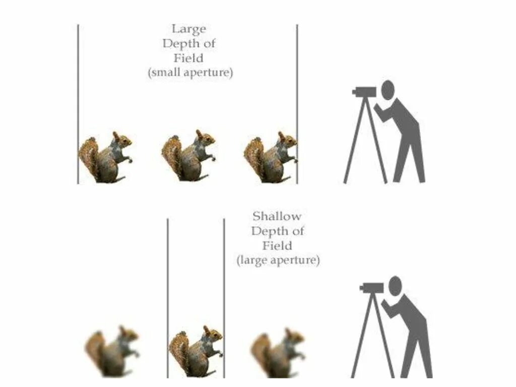 Большая и маленькая глубина резкости. Большая глубина резкости. Малая глубина резкости. Глубина резкости изображаемого пространства. Глубина резкости в мире нет