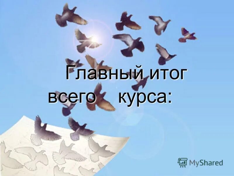 Голубь. Голуби в небе. Голуби вылетают из голубятни. Голубь картинка. Белый голубь.